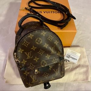 Louis Vuitton Palm Springs Mini Backpack